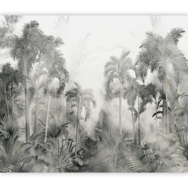 Fototapeta samoprzylepna - Las Mgła Liście Tropikalne